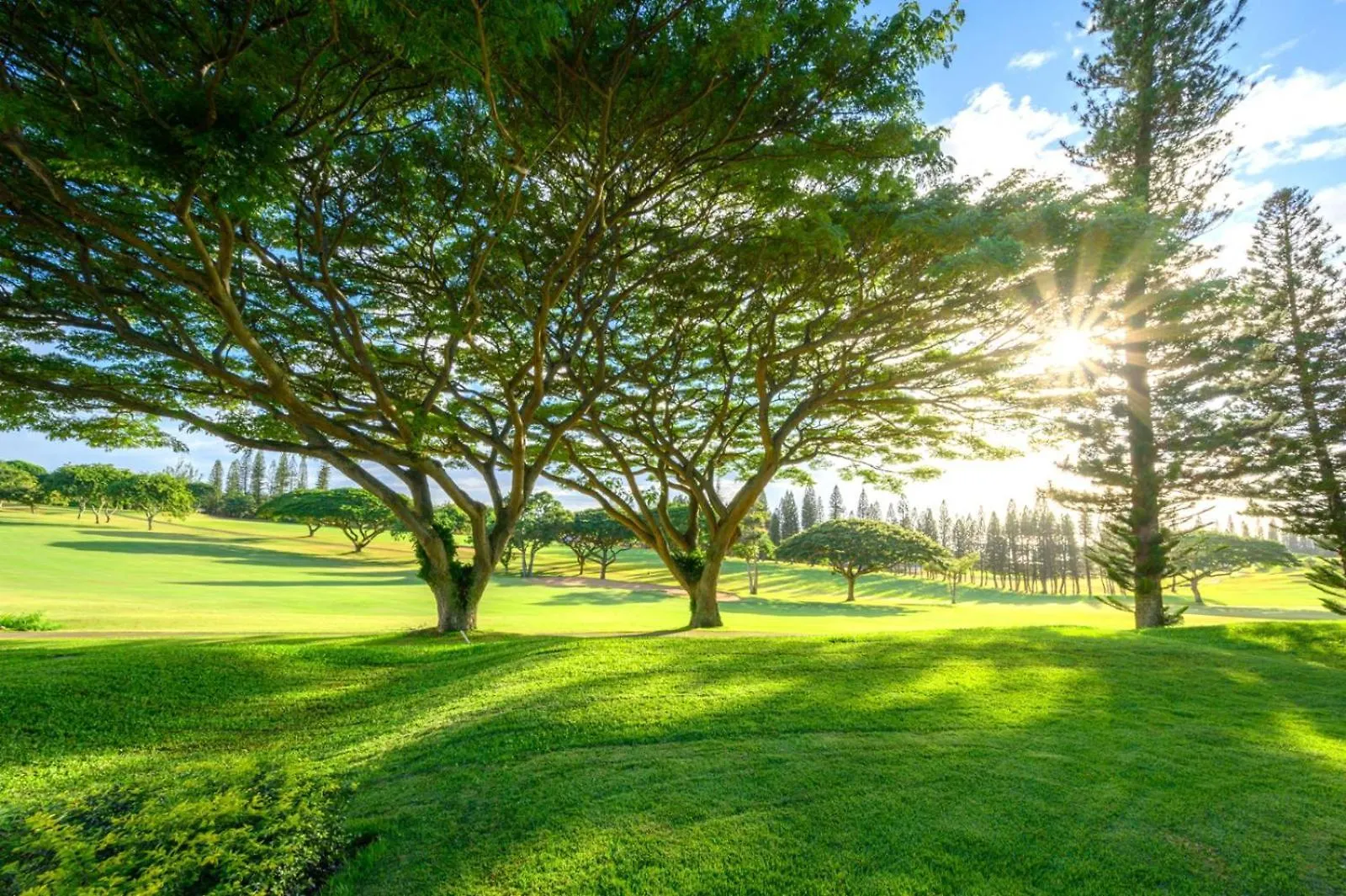 Apartment Kbm Resorts Free Car Kapalua Golf Villa Kgv-14P6 Golf Course Views