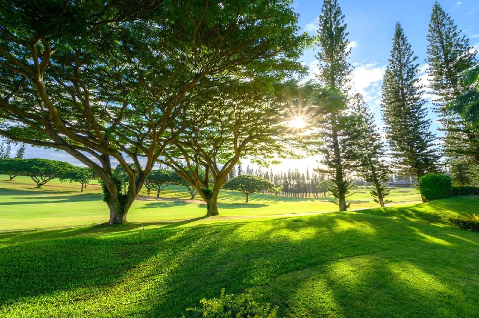 Apartment Kbm Resorts Free Car Kapalua Golf Villa Kgv-14P6 Golf Course Views United States