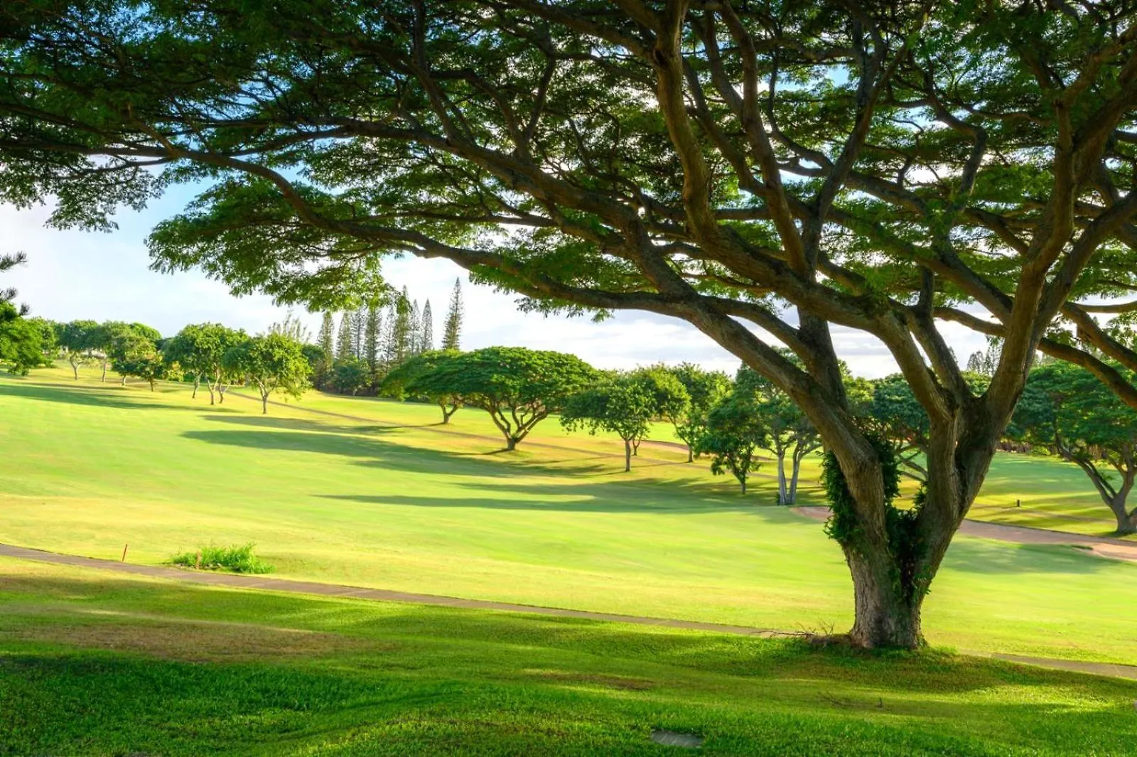 Apartment Kbm Resorts Free Car Kapalua Golf Villa Kgv-14P6 Golf Course Views