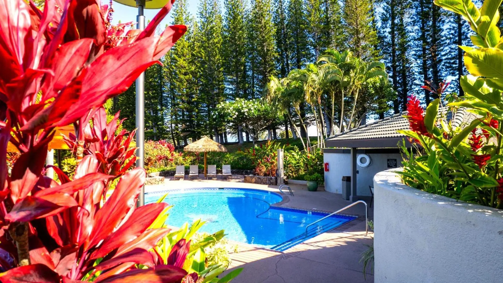 Kbm Resorts Free Car Kapalua Golf Villa Kgv-14P6 Golf Course Views